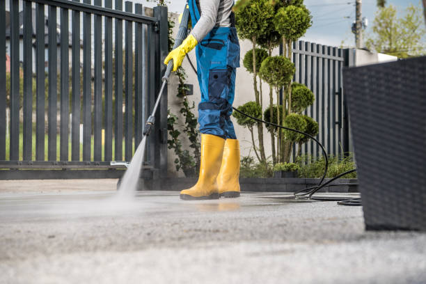 Best Sidewalk and Walkway Cleaning  in Albany, GA