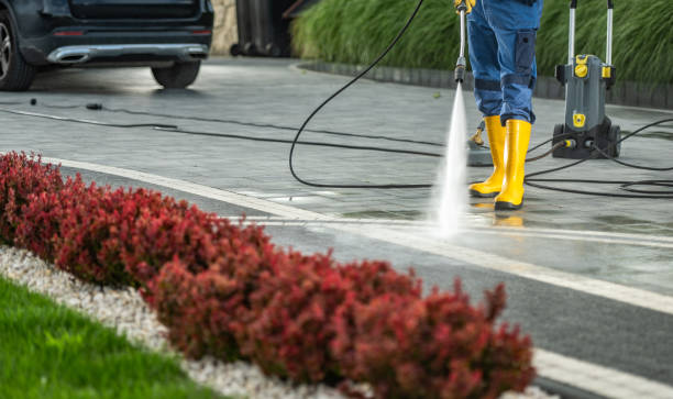 Best Patio and Deck Pressure Washing  in Albany, GA