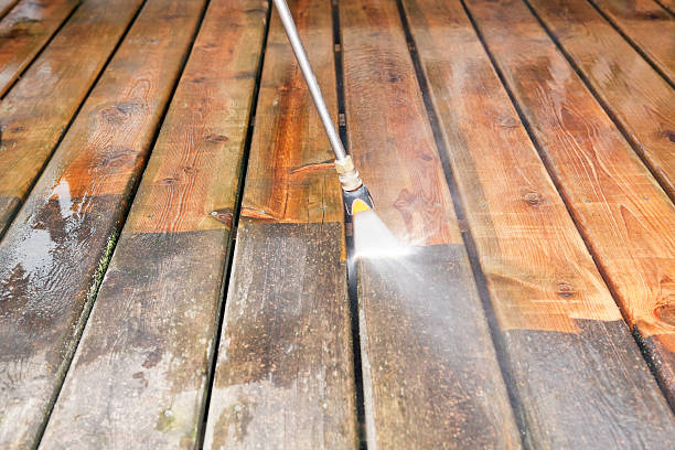 Best Building Exterior Washing  in Albany, GA